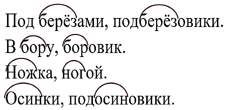 Русский язык 3 класс 1 часть учебник Рамзаева стр 96 упражнение 215 ответы 