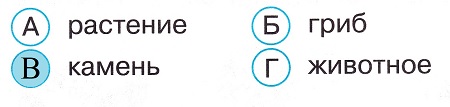 Окружающий мир 2 класс тесты Плешаков стр 10 задание 19 ответы