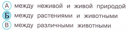 Окружающий мир 4 класс тесты Плешаков стр 114 задание 13 ответы