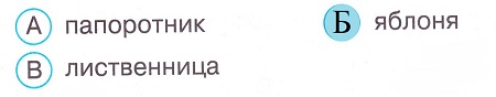 Окружающий мир 4 класс тесты Плешаков стр 115 задание 20 ответы