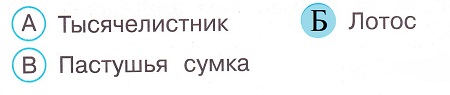 Окружающий мир 4 класс тесты Плешаков стр 115 задание 24 ответы