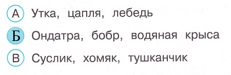Окружающий мир 4 класс тесты Плешаков стр 51 задание 141 ответы