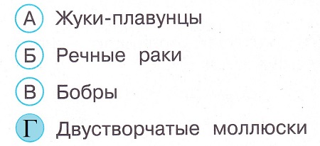 Окружающий мир 4 класс тесты Плешаков стр 51 задание 142 ответы